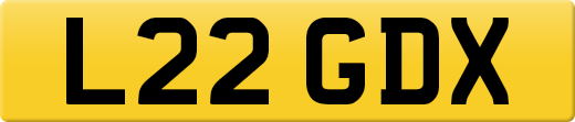 L22GDX